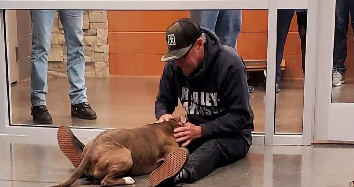 Video: el momento en que un hombre se reencuentra con su perro tras 200 días | Curiosidades