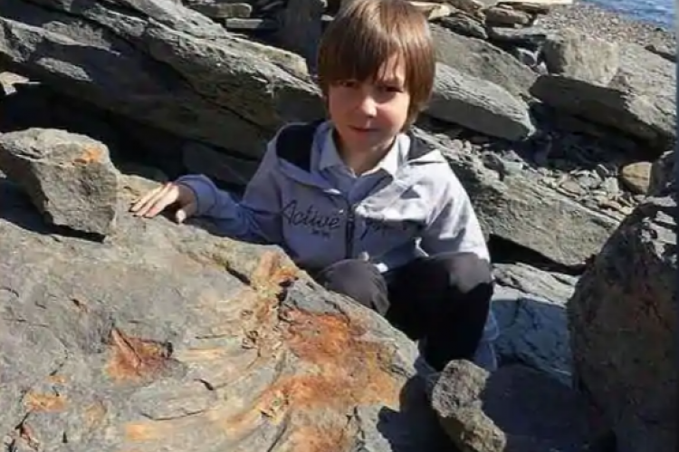 Un nene jugaba en la playa  con su hermana y halló un dinosaurio de 250 millones de años | Internacionales