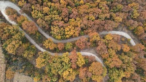 Hallaron un granero de 2.000 años de antigüedad con bodegas llenas de granos | Curiosidades