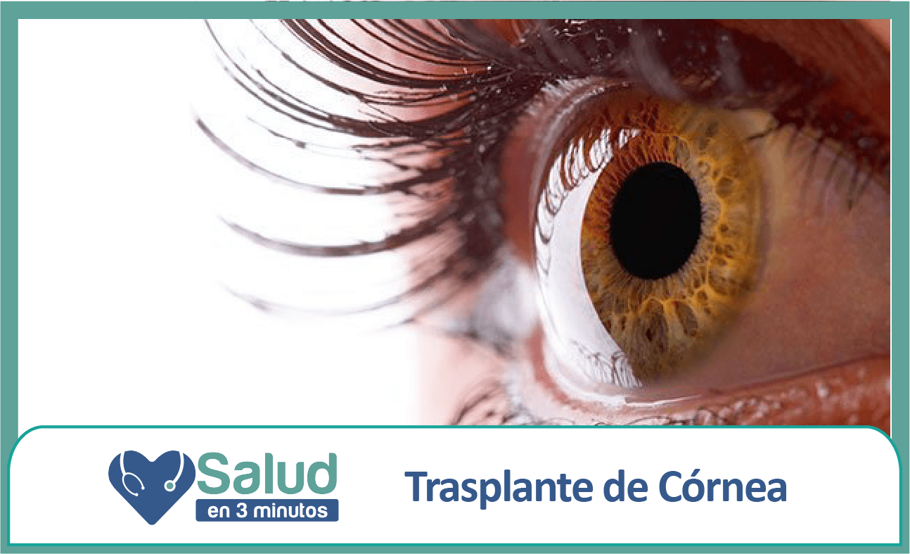 “La Córnea”, ese escudo protector que debemos cuidar | Salud