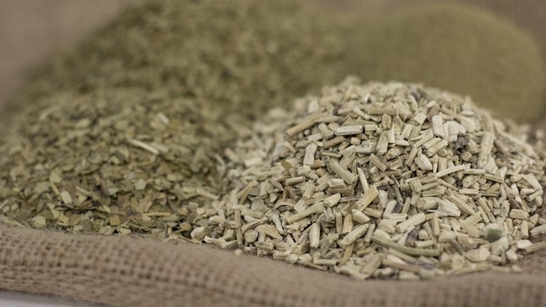 El Gobierno regulará la cantidad de palo y polvo en los paquetes de yerba | Actualidad