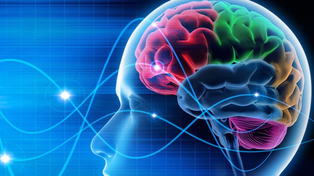 Proyecto argentino de medicamento para enfermedades neurodegenerativas ganó certamen internacional | Actualidad