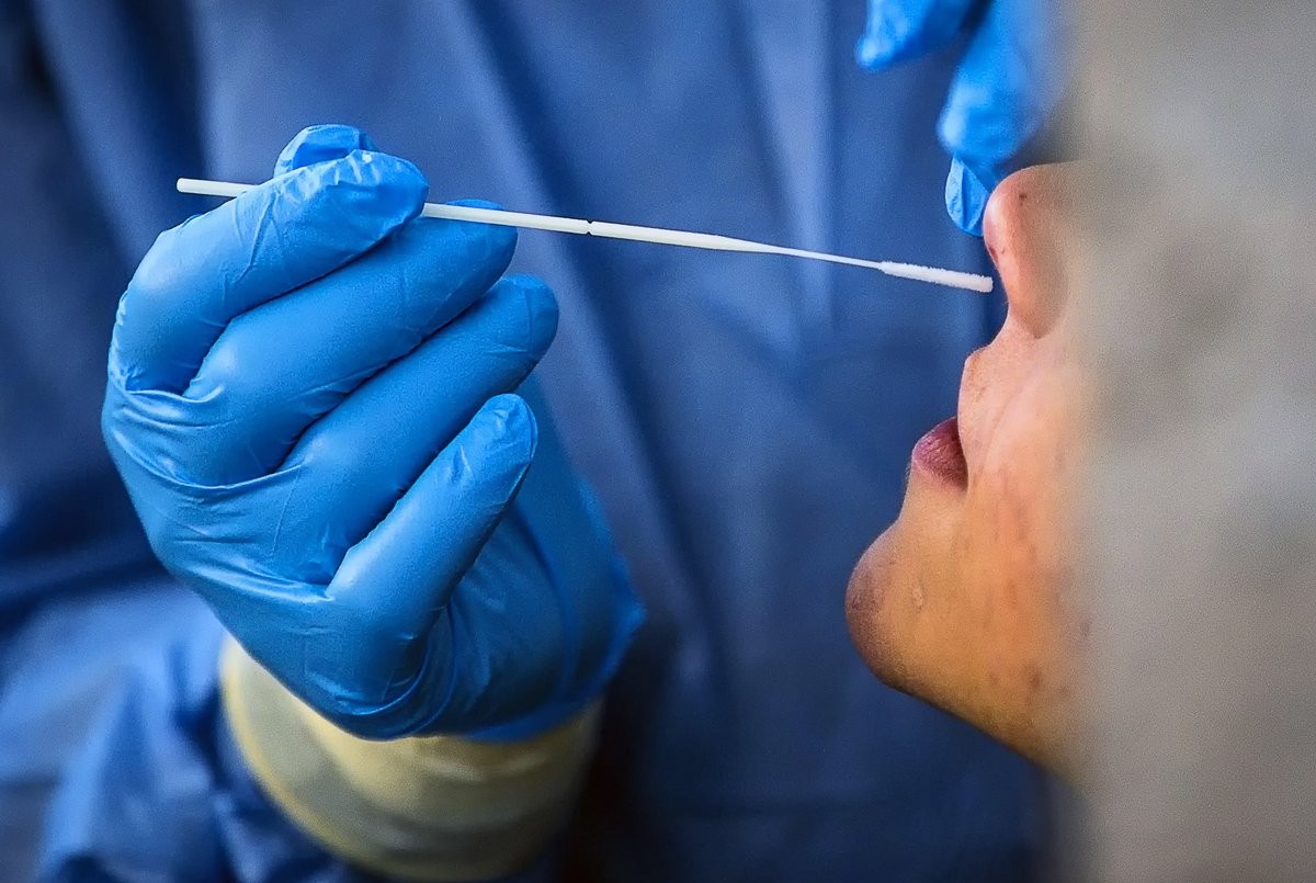 El coronavirus infecta el cerebro a través de la nariz, según revela un estudio | Internacionales