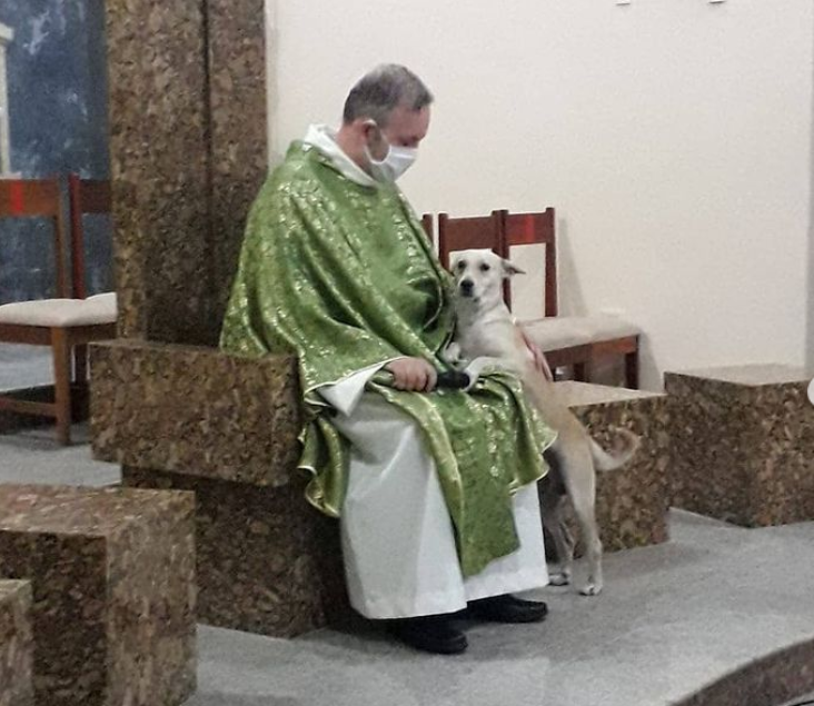Un sacerdote da misa con perros abandonados para que sean adoptados | Curiosidades