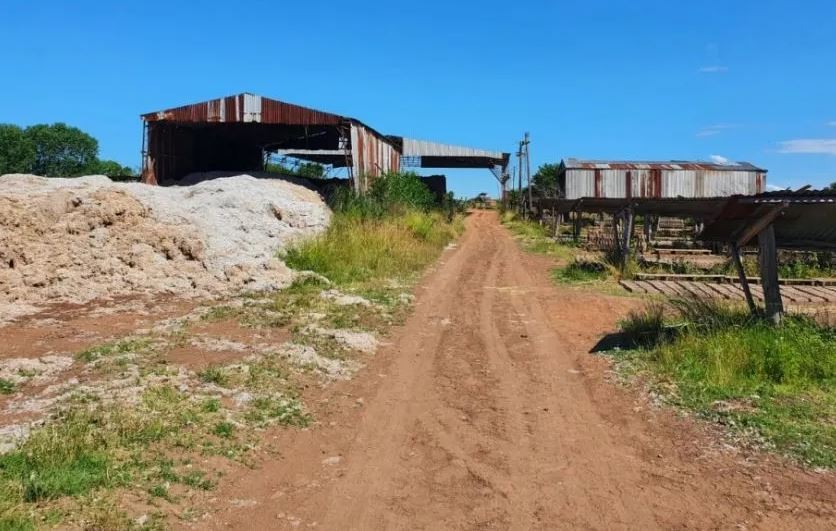 Mató a su compañero de trabajo de un golpe en Cañuelas y lo enterró en un horno de ladrillos | Actualidad