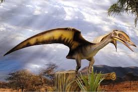 Descubren "el pariente terrestre" de reptiles voladores que convivieron con los dinosaurios | Internacionales