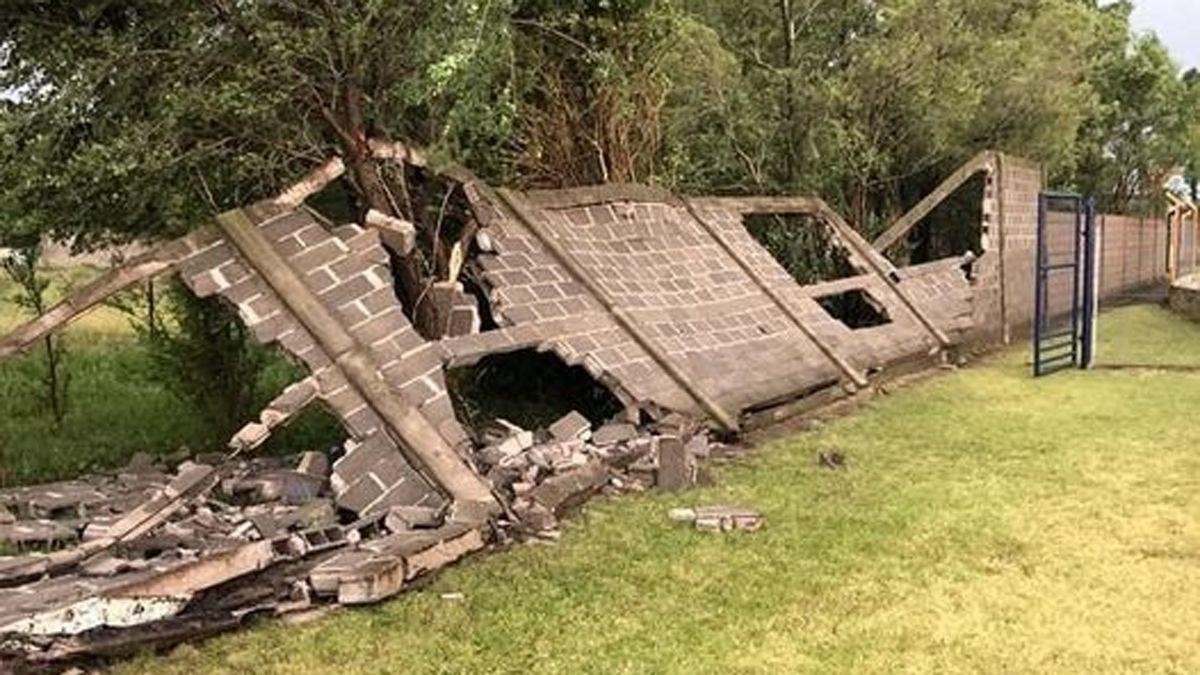 FOTOS del temporal en Córdoba: caída de árboles y cortes de luz por el fuerte viento | Córdoba