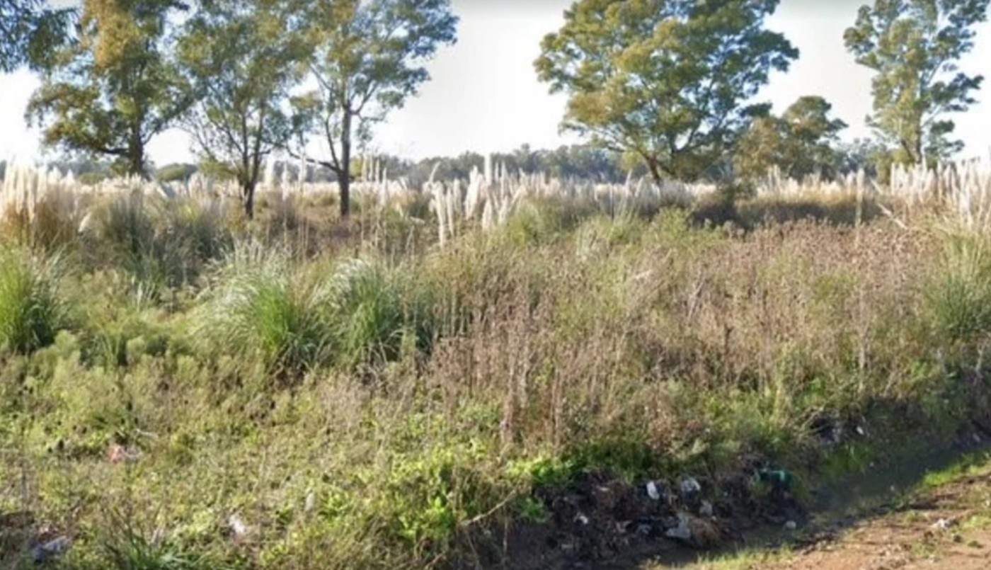 Encuentran el cadáver semidesnudo de una mujer a metros de la Autopista Ezeiza-Cañuelas | Telefe Noticias