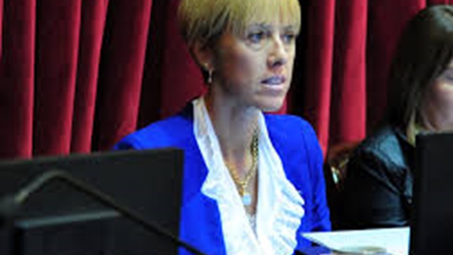 Aborto legal: Los senadores que cambiaron de postura entre el debate de 2018 y el de 2020 | Política y economía