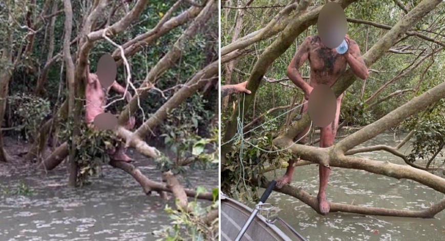Tras rescatar a un hombre que estaba desnudo en un árbol sobre aguas con cocodrilos, se enteraron que era un fugitivo | Internacionales