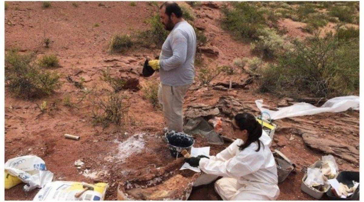 Descubren en Vaca Muerta restos de un dinosaurio de 140 millones de años | Actualidad