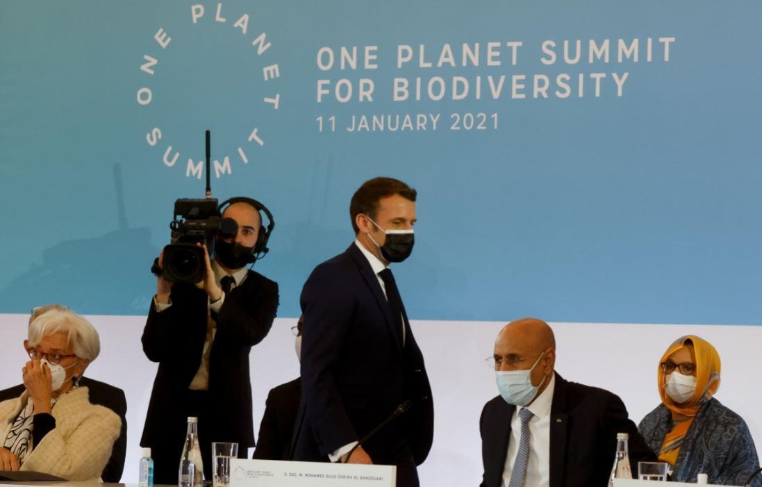 Cumbre en París: 2021 será un año clave para frenar el colapso de la biodiversidad | Internacionales