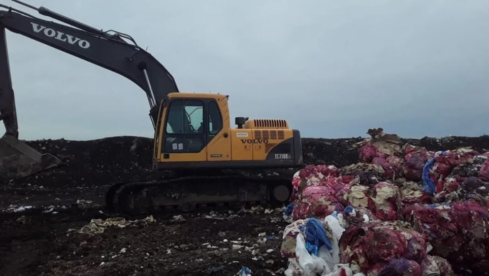 Hallaron nueve fetos en estado de descomposición en basural de Mar del Plata | Actualidad