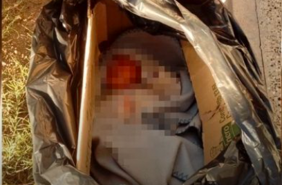 Hallaron a una beba recién nacida abandonada en una caja en Catamarca | Actualidad