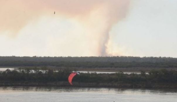 Se reiniciaron las quemas en el Delta del Paraná y no descartan "intencionalidad política o maldad" | Telefe Noticias