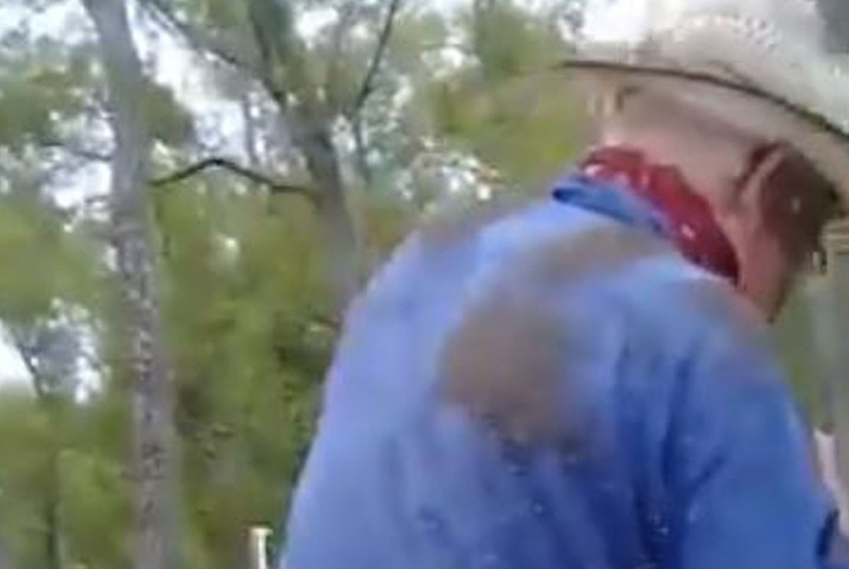 De ciencia ficción: el brutal ataque de una plaga de mosquitos a un hombre en el campo | Telefe Noticias