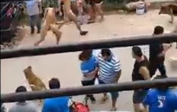 VIDEO: Vecinos desnudan a tres delincuentes y los echan del barrio | Actualidad