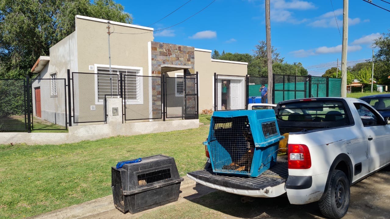 Ivana Módica no aparece: con perros adiestrados, los peritos buscan rastros en su casa de La Falda | Córdoba