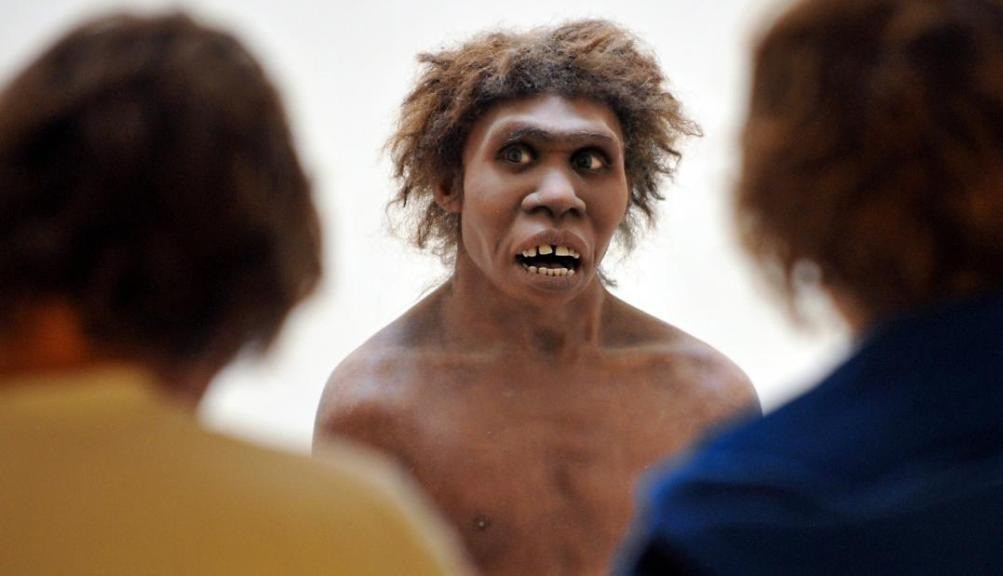 ¿Tus antepasados neandertales influyeron en tu covid? | Curiosidades