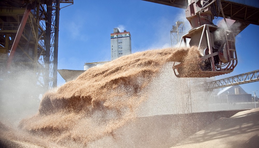 El ministerio de Agricultura realizará el seguimiento de la comercialización de granos | Política y economía