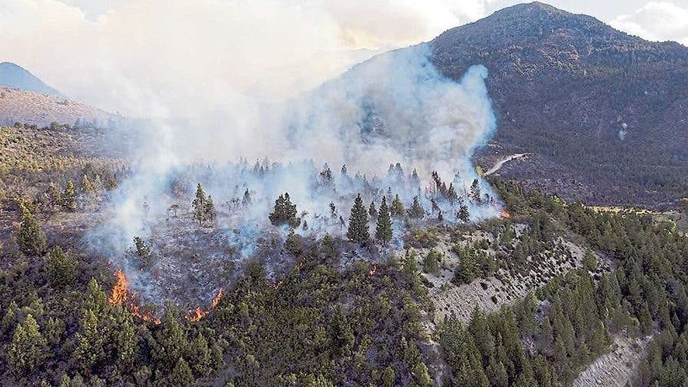 Imputan a 3 hombres y 3 mujeres por el incendio forestal en El Bolsón | Actualidad