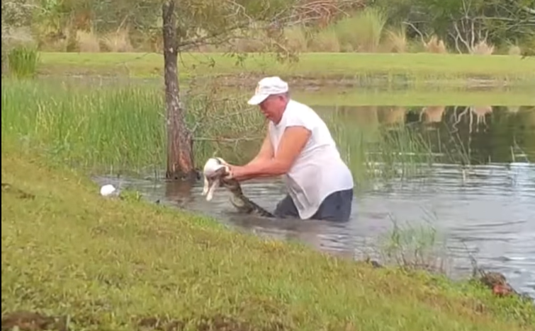 VIDEO VIRAL: en un heroico acto, un hombre logró rescatar a su perrito de ser devorado por un caimán | Redes