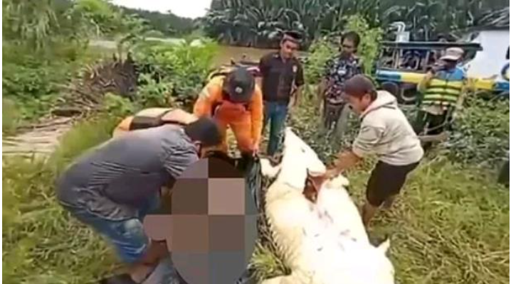 Desgarrador: el cuerpo de un niño de 8 años fue extraido del interior de un cocodrilo | Internacionales