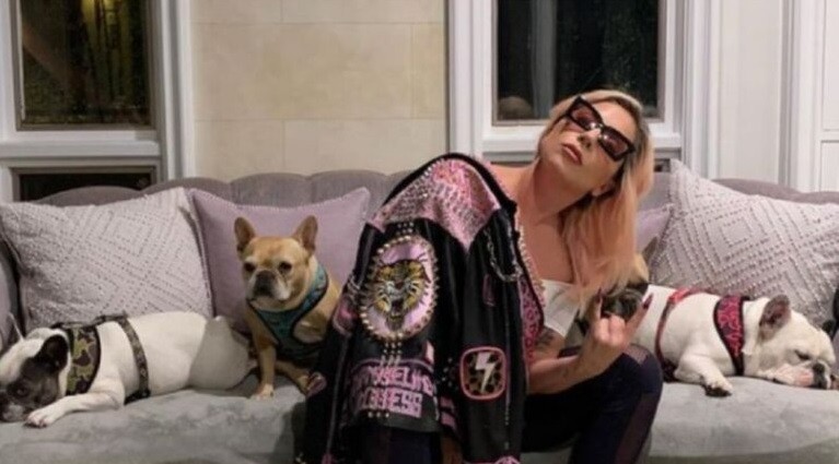 A 10 días de recuperar a sus perros, Lady Gaga no pagó la recompensa | Espectáculos