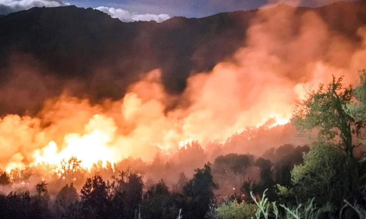 Heridos y evacuados por incendios forestales en la zona de El Bolsón | Actualidad