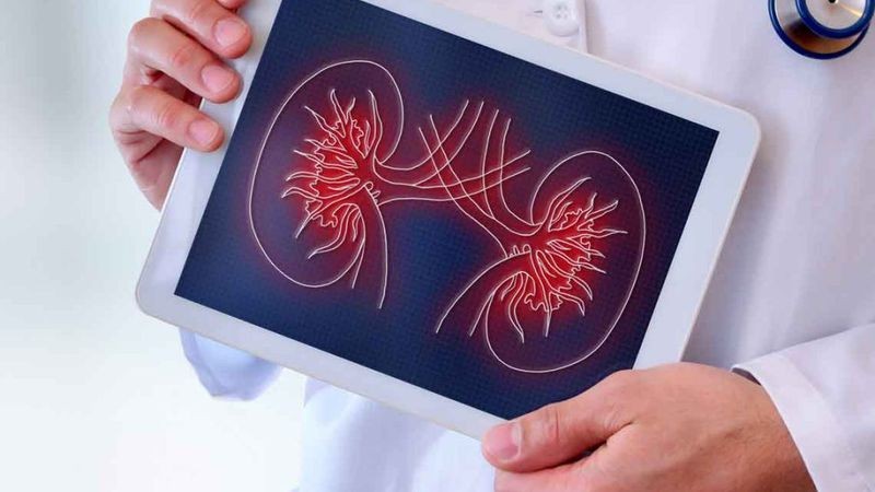 Día Mundial del Riñón: 1 de cada 8 argentinos padece enfermedades renales | Salud