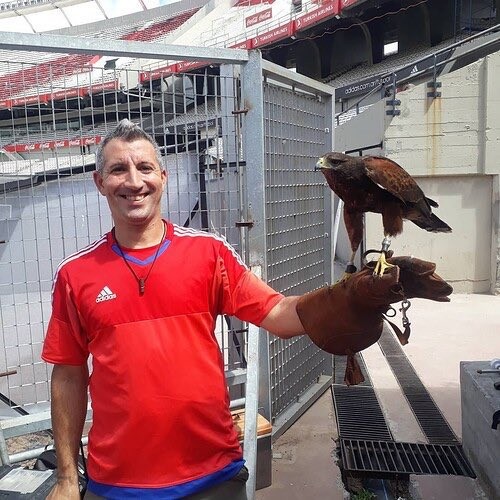 Las aves que “custodian” el campo de juego de River son adiestradas en Santa Fe | Deportes