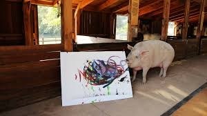 Video: "Pigcasso", el cerdo pintor que hizo un retrato abstracto del Príncipe Harry | Curiosidades