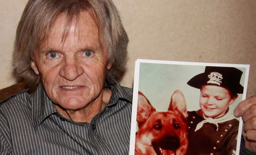 Murió en la indigencia el protagonista de "Las aventuras de Rin Tin Tin" | Espectáculos