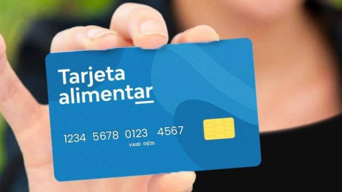Evalúan ampliar la Tarjeta Alimentar a personas con discapacidad menores de 18 años | Actualidad