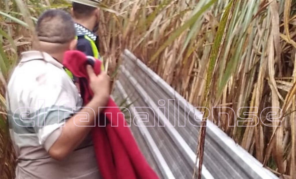 Insólito: Se robaron los techos de chapa de un hotel alojamiento | Curiosidades