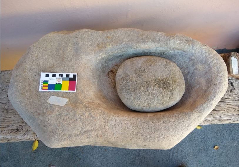 Arqueólogos del delito: recuperan una conana y troncos fosilizados que vendían por Internet | Córdoba