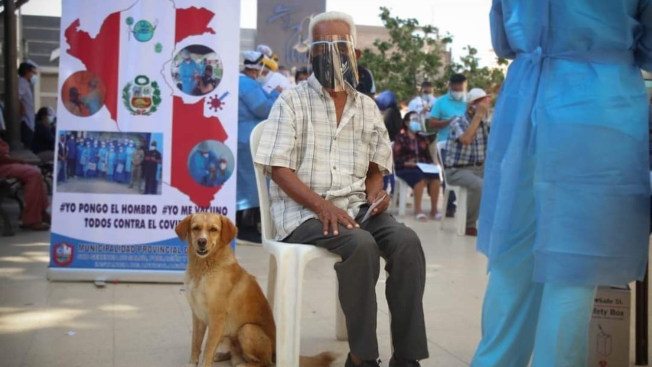 "Quise compartirlo con él": fue a vacunarse junto a su perro | Internacionales