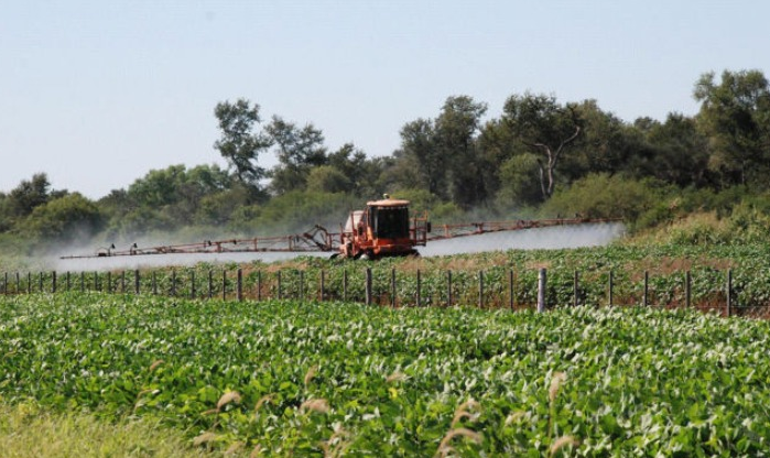 Revelan daño genético y presencia de glifosato en niños de Dique Chico | Córdoba