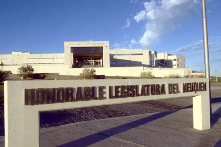 Neuquén aprobó una ley que otorga licencia laboral por violencia de género | Actualidad