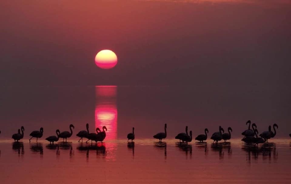 La laguna Mar Chiquita camino a recibir el máximo estatus de conservación ambiental | Córdoba