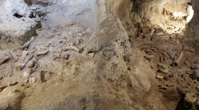 Hallan en Italia restos de neandertales mutilados por hienas | Internacionales