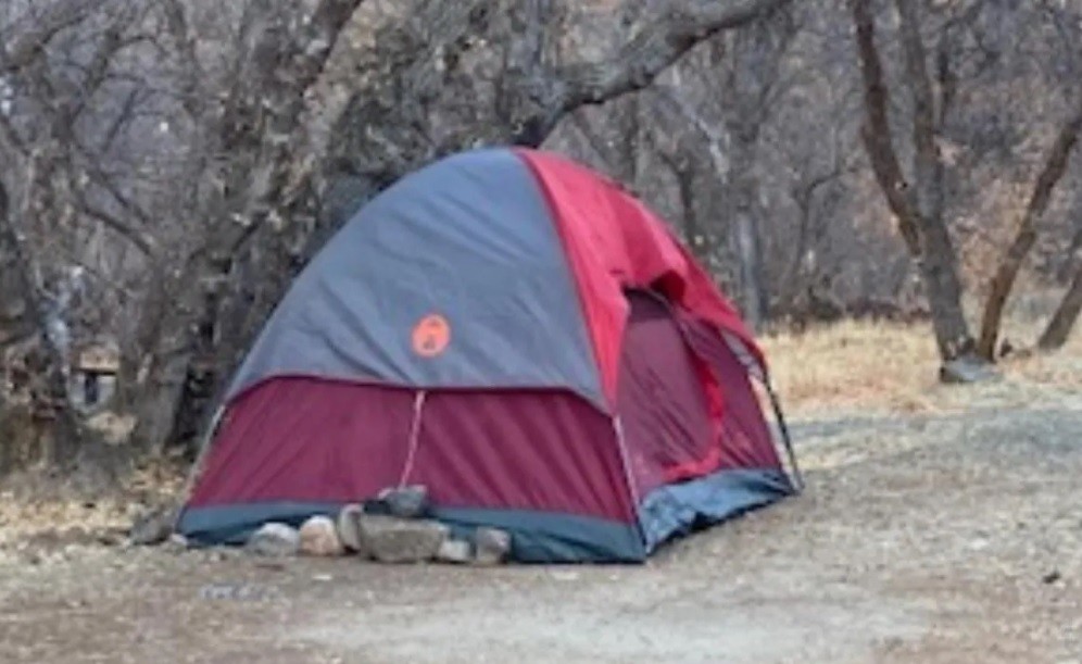 Misterio resuelto: desaparecida hace casi 6 meses, la hallaron viviendo en una carpa en el bosque | Internacionales