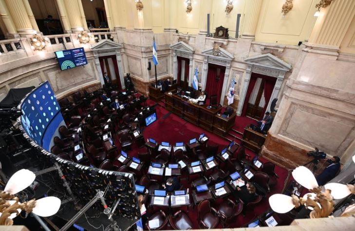 El Senado aprobó el proyecto sobre el destino de los Derechos Especiales de Giro del FMI | Política y economía