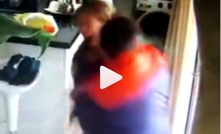 VIDEO: el grito desesperado de una mujer atacada por ladrones, terminó en terapia | Córdoba