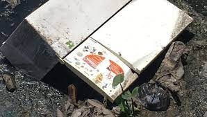 Asesinó a su esposa y la escondió en una heladera durante años mientras se hacía el que la buscaba | Internacionales