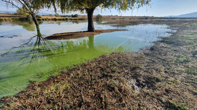 Preocupación en las comunas aledañas al lago Los Molinos por el nivel de contaminación | Córdoba
