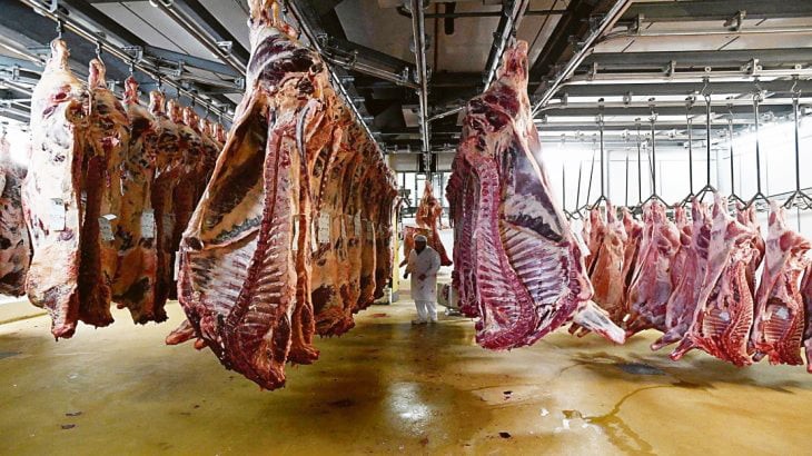 La Aduana denunció a 19 frigoríficos por fraude en exportaciones de carne | Política y economía