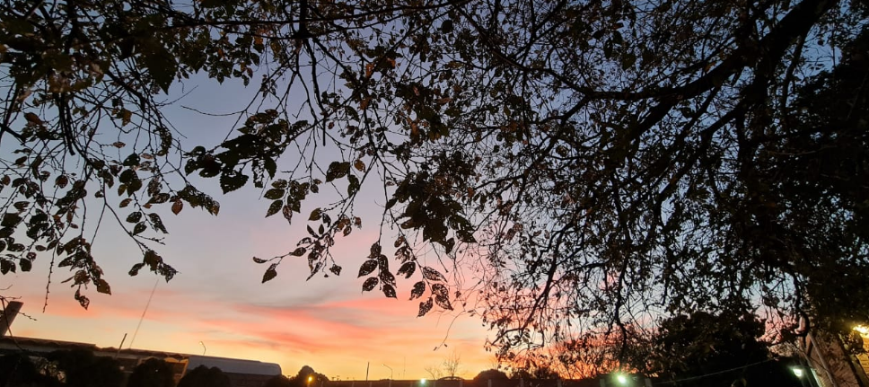 Frío por la mañana, paulatino ascenso de temperatura, máxima de 24° | Córdoba