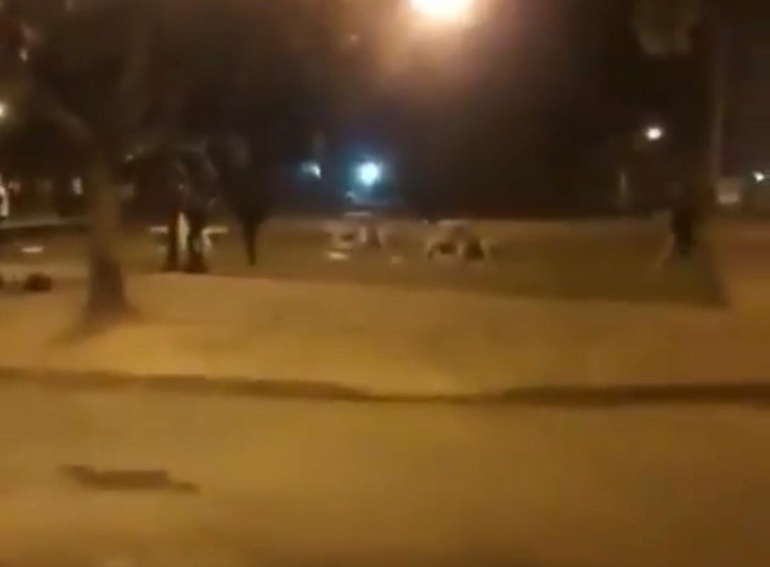 Una fiesta clandestina de menores terminó en una batalla campal | Actualidad