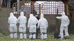 Un Policía británico admitió el secuestro y la violación de una londinense muerta | Internacionales